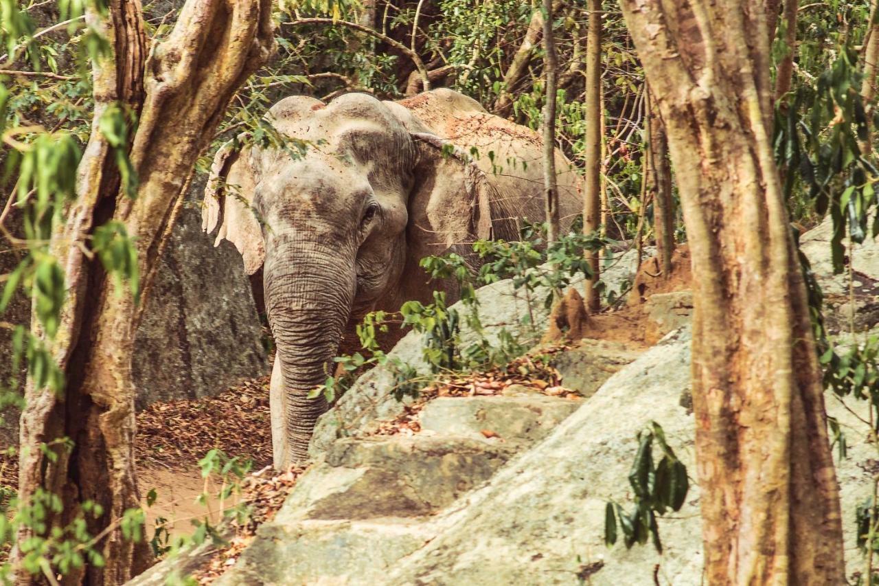 Babar Point 3* Arugam Bay